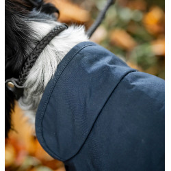 Hondendeken Horseware Newmarket – ruitersport accessoire Hondendeken Horseware Newmarket – ruitersport accessoire