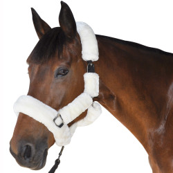 Licol De Transport Canter Naturel Marron