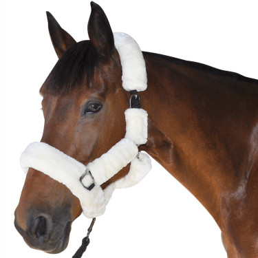 Licol De Transport Canter Naturel Marron