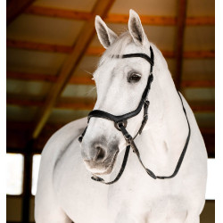 Bitloze hoofdstel Horseware Micklem Zwart Bitloze hoofdstel Horseware Micklem Zwart