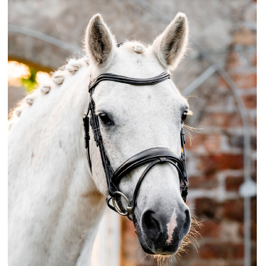 Pony hoofdstel voor dressuur – Horseware Flash | Equi-Clic