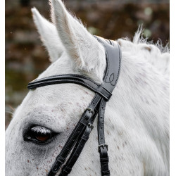 Pony hoofdstel voor dressuur – Horseware Flash | Equi-Clic