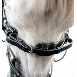 Pony hoofdstel voor dressuur – Horseware Flash | Equi-Clic