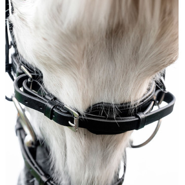 Pony hoofdstel voor dressuur – Horseware Flash | Equi-Clic