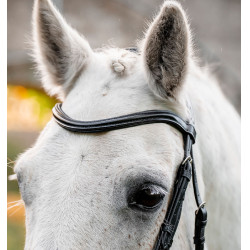 Pony hoofdstel voor dressuur – Horseware Flash | Equi-Clic