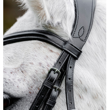 Pony hoofdstel voor dressuur – Horseware Flash | Equi-Clic