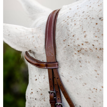 Pony jachtcavesson hoofdstel met teugels | Horseware | Ruitersport