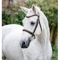 Bridon poney Horseware Cavesson Noir