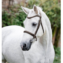 Ponyhoofdstel Horseware Cavesson Bruin