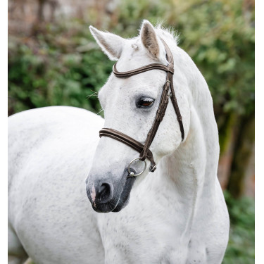 Ponyhoofdstel Horseware Cavesson Zwart