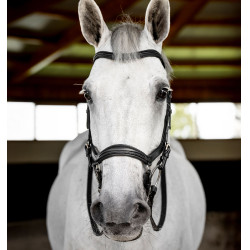 Hoofdstel Horseware Micklem Deluxe Competition Zwart