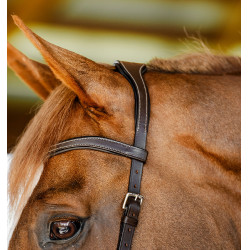 Bridon Horseware Micklem Competition Havane foncé Marron