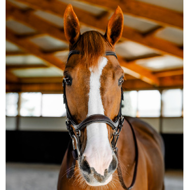 Hoofdstel Horseware Micklem Competition Donker Havana Bruin