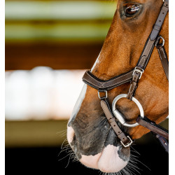 Bridon Horseware Micklem Competition Havane foncé Marron