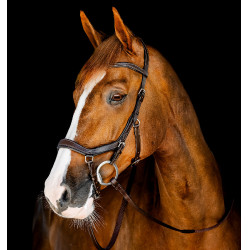 Bridon Horseware Micklem Competition Havane foncé Marron