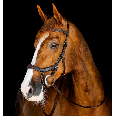 Hoofdstel Horseware Micklem Competition Donker Havana Bruin