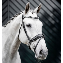 Bridon Horseware Diamante Flash Noir / argent