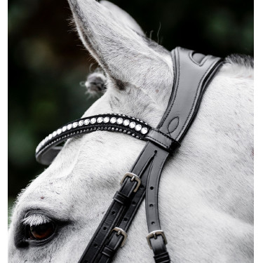 Bridon Horseware Diamante Flash Noir / argent