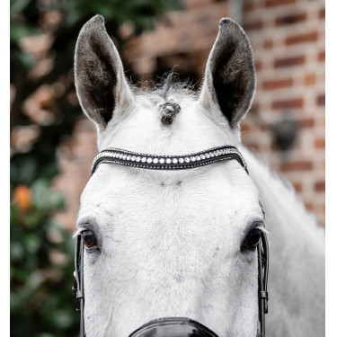 Bridon Horseware Diamante Flash Noir / argent