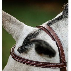 Bridon d’équitation Hunter en cuir avec rênes | Horseware Bridon d’équitation Hunter en cuir avec rênes | Horseware