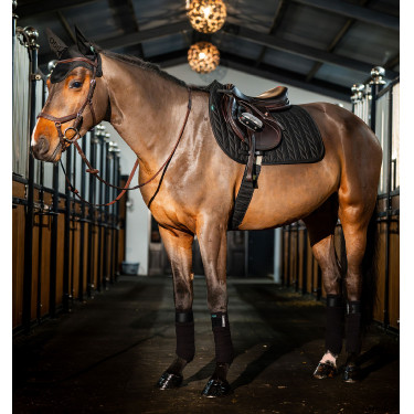 Tapis de selle Close Contact Amigo Horseware Noir