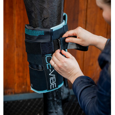 Genouillères équitation Horseware Ice-Vibe | thérapie froide/chaude