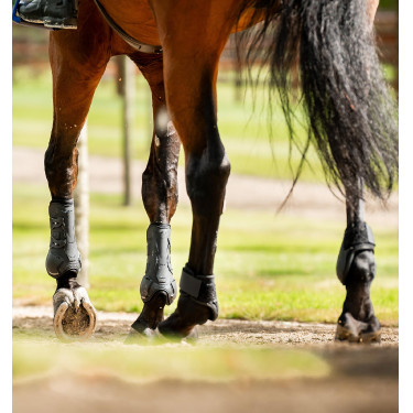 Horseware® Classic kogelbeschermers Zwart / zwart Horseware® Classic kogelbeschermers Zwart / zwart