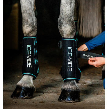 Guêtres Horseware Ice-Vibe Noir / aqua Bleu