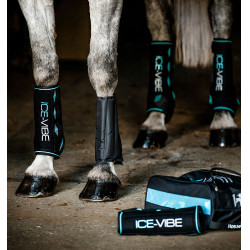 Guêtres Horseware Ice-Vibe Noir / aqua Bleu