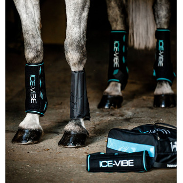Guêtres Horseware Ice-Vibe Noir / aqua Bleu