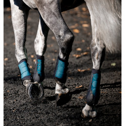 Guêtres de dressage Horseware® Classic Vert dynastie