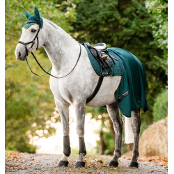 Horseware® Classic dressuurbeschermers Groen dynastie