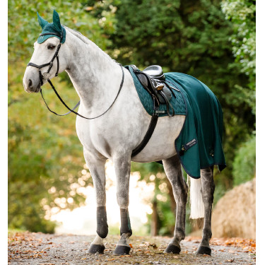 Horseware® Classic dressuurbeschermers Groen dynastie