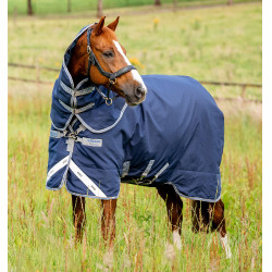 Couverture d’extérieur équitation 100g Rhino Plus Horseware Couverture d’extérieur équitation 100g Rhino Plus Horseware