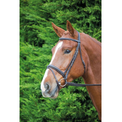Shires Aviemore Comfort Fit hoofdstel voor paardrijden Shires Aviemore Comfort Fit hoofdstel voor paardrijden