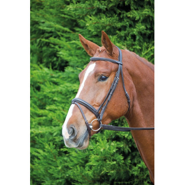 Shires Aviemore Comfort Fit hoofdstel voor paardrijden Shires Aviemore Comfort Fit hoofdstel voor paardrijden