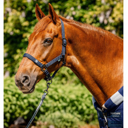 Licol et longe Horseware Newmarket Marine witney Bleu marine Licol et longe Horseware Newmarket Marine witney Bleu marine
