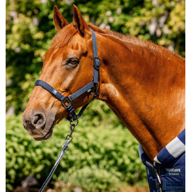 Licol et longe Horseware Newmarket Marine witney Bleu marine Licol et longe Horseware Newmarket Marine witney Bleu marine