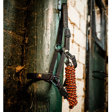 Licol et longe Horseware Newmarket Or blanc