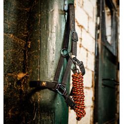 Licol et longe Horseware Newmarket Or blanc