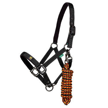 Licol et longe Horseware Newmarket Or blanc