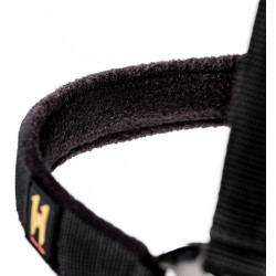 Licol et longe Horseware Newmarket Or blanc