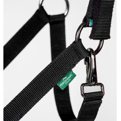 Licol et longe Horseware Newmarket Or blanc