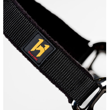 Licol et longe Horseware Newmarket Or blanc