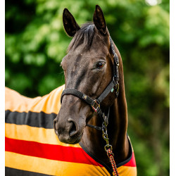 Licol et longe Horseware Newmarket Or blanc