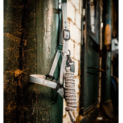 Halster & touw Horseware Newmarket – paardrijuitrusting