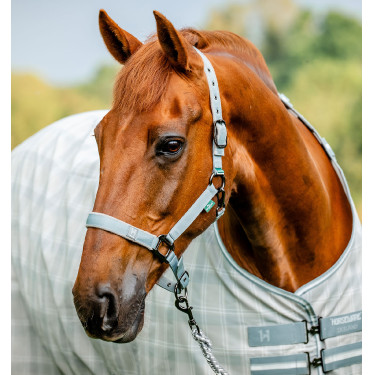 Halster & touw Horseware Newmarket – paardrijuitrusting