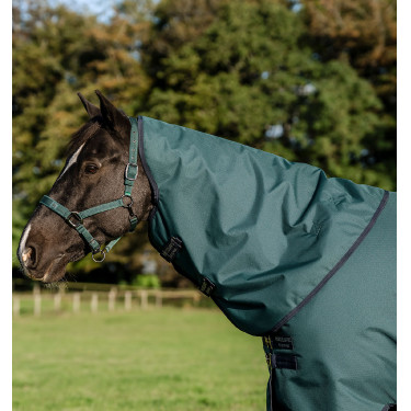 Halshoes Horseware Amigo Ripstop 900D Turnout Hood 150g Groen dynastie / marine / zilver