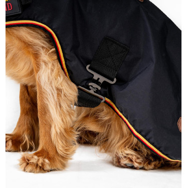 Hondenhoes Horseware Newmarket Witgoud Hondenhoes Horseware Newmarket Witgoud