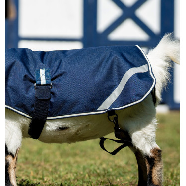 Geitendeken 0g waterdicht – Horseware | Equi-Clic